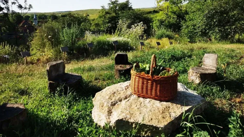 O grădină idilică, cu un coș plin de produse proaspete pe o piatră, înconjurat de plante verzi și câteva blocuri de lemn în fundal.