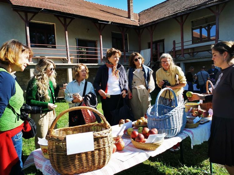 Apfelverkostung und Brunch in Petrinzel