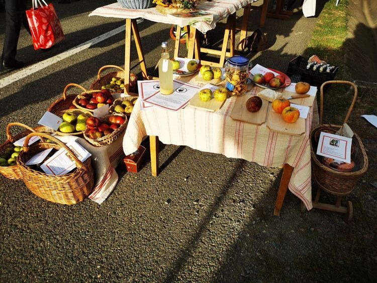 Apfelverkostung in Sâncraiu beim Hagebutten Festival