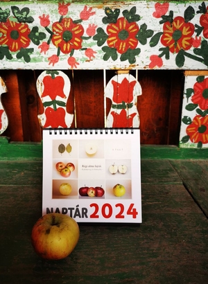 Calendar 2024 - Varietăți de mere vechi