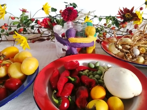 Atelier de multiplicare a semințelor în Petrinzel