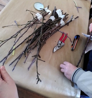 Atelier de finisare