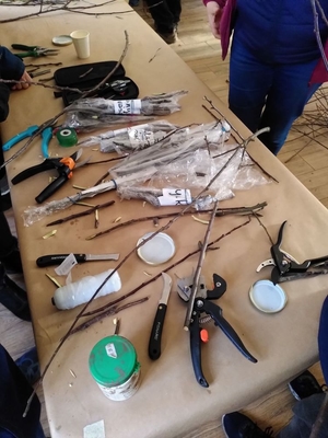 Atelier de finisare