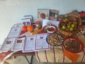 Zilele de sat în Petrinzel