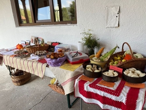 Zilele de sat în Petrinzel