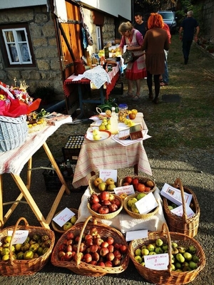 Apfelverkostung in Sâncraiu beim Hagebutten Festival