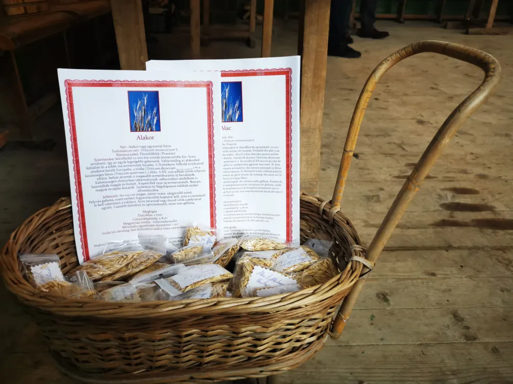 Displayed flyers in a woven basket.