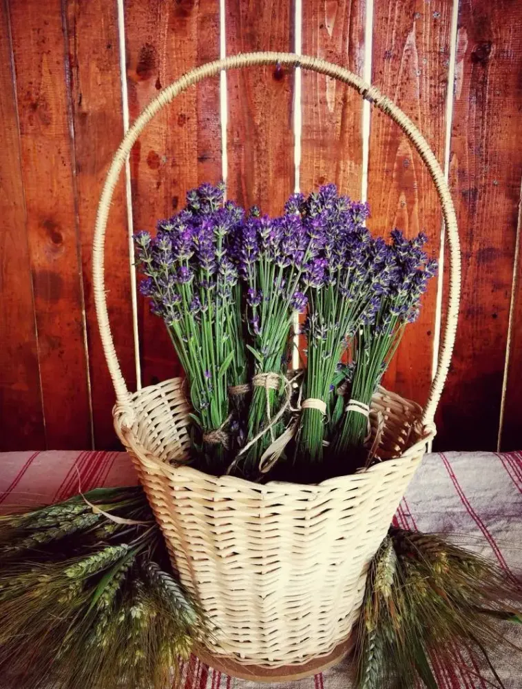 Fashionably arranged herb basket filled with lavender.