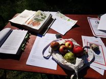 O masă în aer liber este acoperită cu cărți, hârtii și desene cu mere. În mijloc se află un coș cu diverse mere în lumina soarelui.