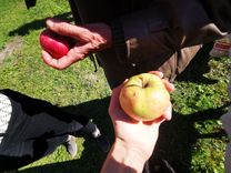 O mână ține un măr mare în soare, iar în fundal se poate vedea o altă persoană cu o geantă roșie.