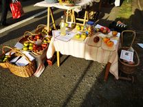 Ein Marktstand mit Körben voller bunter Äpfel und Tischen mit Apfelprodukten im Schatten großer Bäume, beleuchtet durch Sonnenlicht.