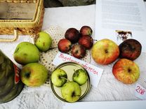 Einige reife und teilweise verfaulte Äpfel auf einem Tisch, neben einem geöffneten Buch und einer Glasschale mit geschnittenen grünen Äpfeln.