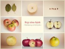 Collage von verschiedenen Apfelbildern, darunter ganze Äpfel, Apfelhälften, Apfelkerne und Blätter, mit ungarischem Text, der "Alte Apfelsorten - Erhaltung der Vielfalt" bedeutet.
