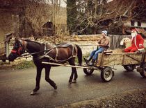 Căruță trasă de un cal cu doi oameni, unul îmbrăcat în Moș Crăciun, pe un drum, lângă stive de lemne.