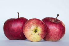 Drei rote Äpfel stehen in einer Reihe vor einem hellgrauen Hintergrund.